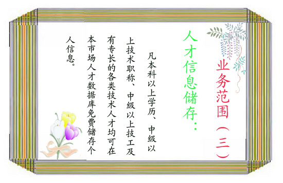 深圳宝安人才市场服务项目